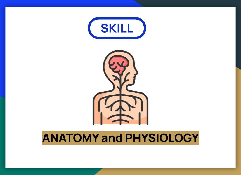 http://study.aisectonline.com/images/SubCategory/ANATOMYandPHYSIOLOGY.jpg